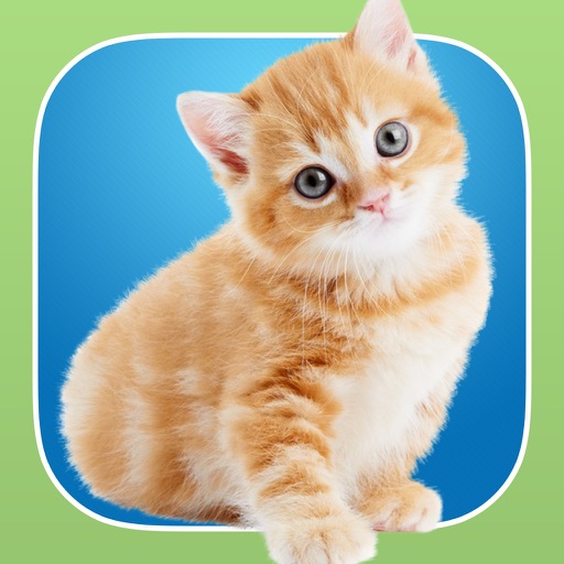 InstaKitty - A Funny Photo Booth Editor with Cute Kittens and Cool Cat Stickers for Your Pictures icon