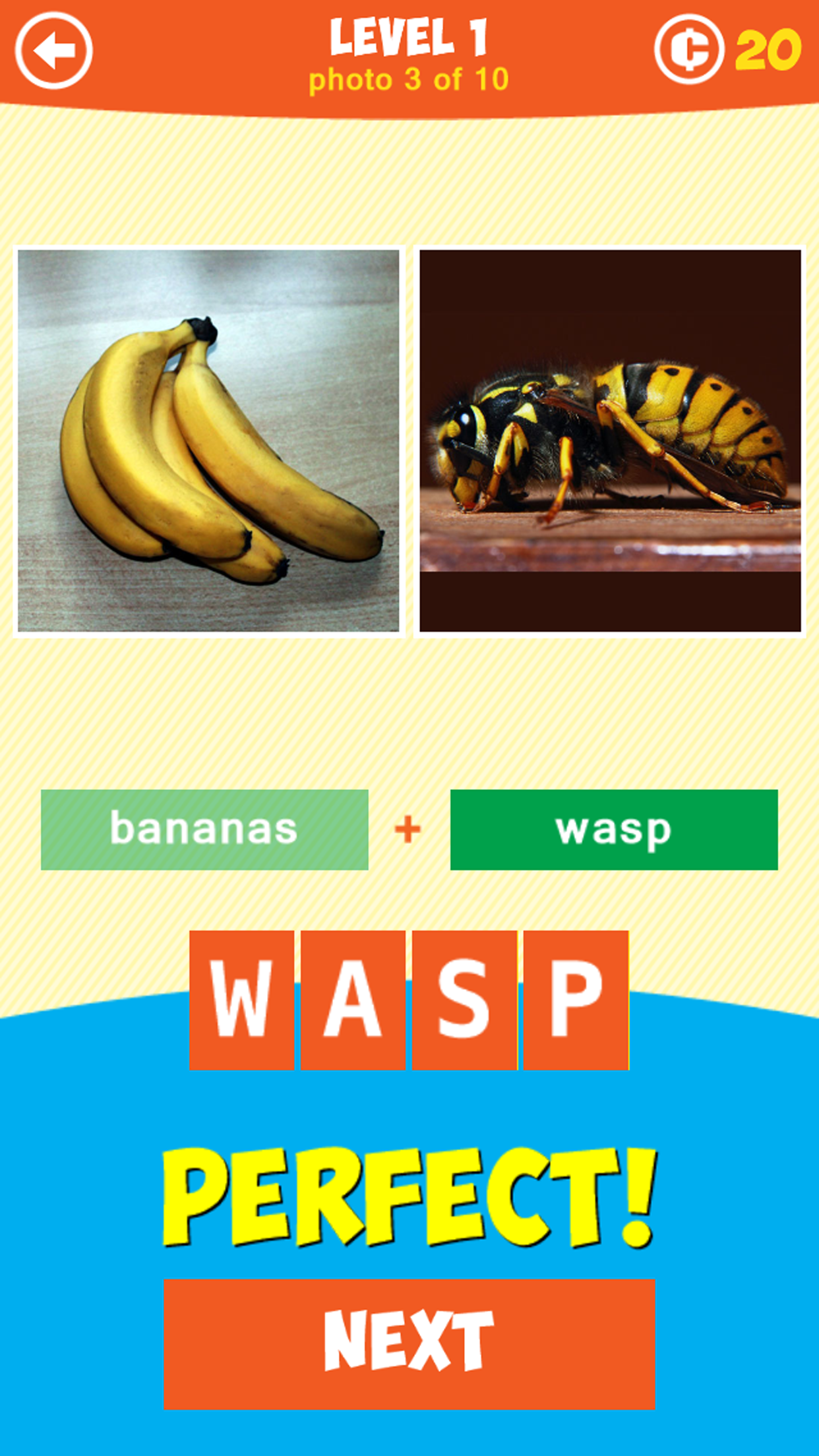 1 Pic Combo: What's the thing?