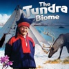 Tundra Biome