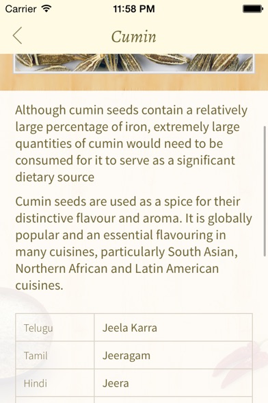 Screenshot of DesiGro - Indian Grocery names in multiple languages. Convert, translate, share and create desi shopping lists