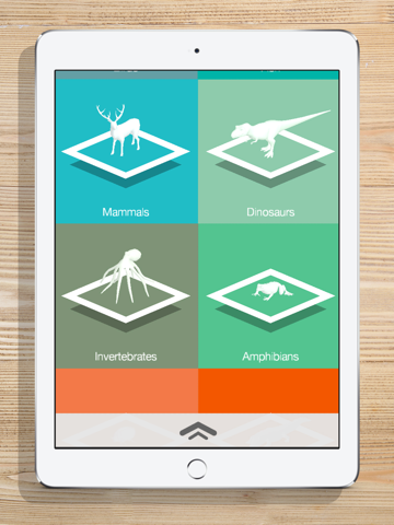 Screenshot #4 pour ZooKazam Free
