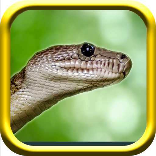 Snake Rampage - Snake Simulator