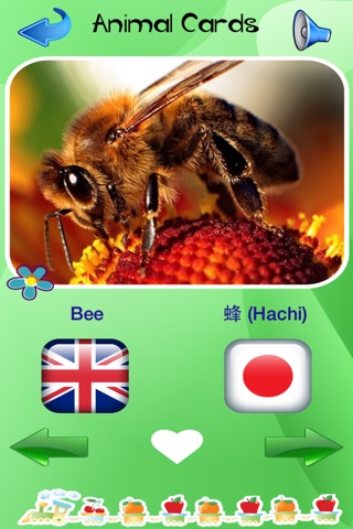 Japanese - English Voice Flash Cards Of Animals And Tools For Small Children screenshot 3