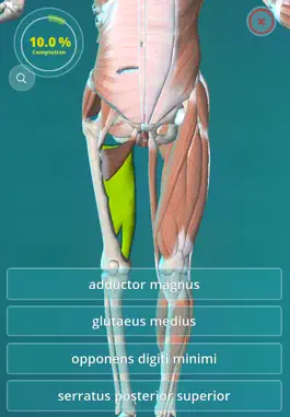 Game screenshot Anatomy Quiz - muscles and bones apk
