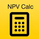 NPV Calculator App Problems