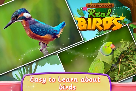 Educational Game Real Birds screenshot 4