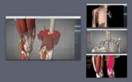 Essential Anatomy 5 iphone bilder 1