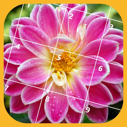 Jigsaw Puzzle - Flower Icon