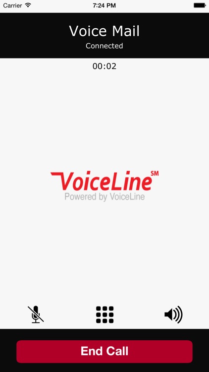 VoiceLine screenshot-4