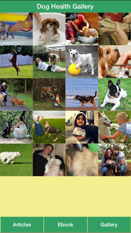 Dog Health Guide - Have a Healthy Dog and Happy Life for Your Dog!