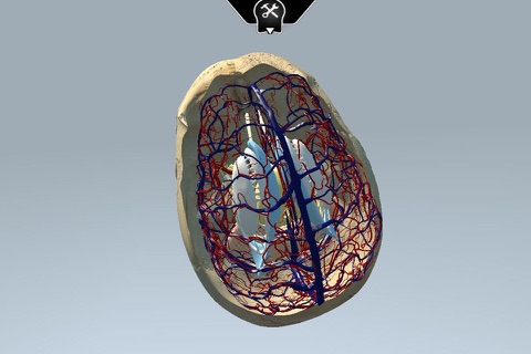 NeuroView screenshot 3