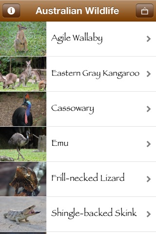 Australian Wildlife screenshot 2