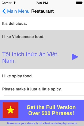 Speak Vietnamese Phrases Lite screenshot 4