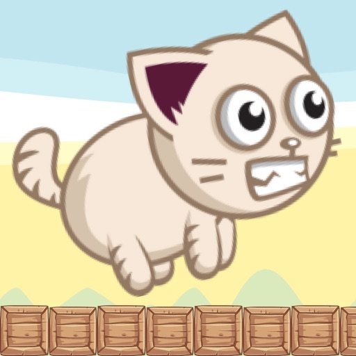 Angry Cat - Endless runner game Icon