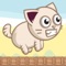 Angry Cat - Endless runner game
