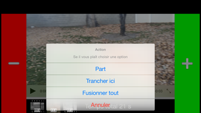 Screenshot #3 pour Video Slicer