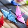 Origami Instructions - Learn How to Make Origami