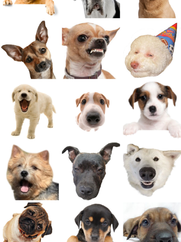 Screenshot #5 pour Dog Emojis