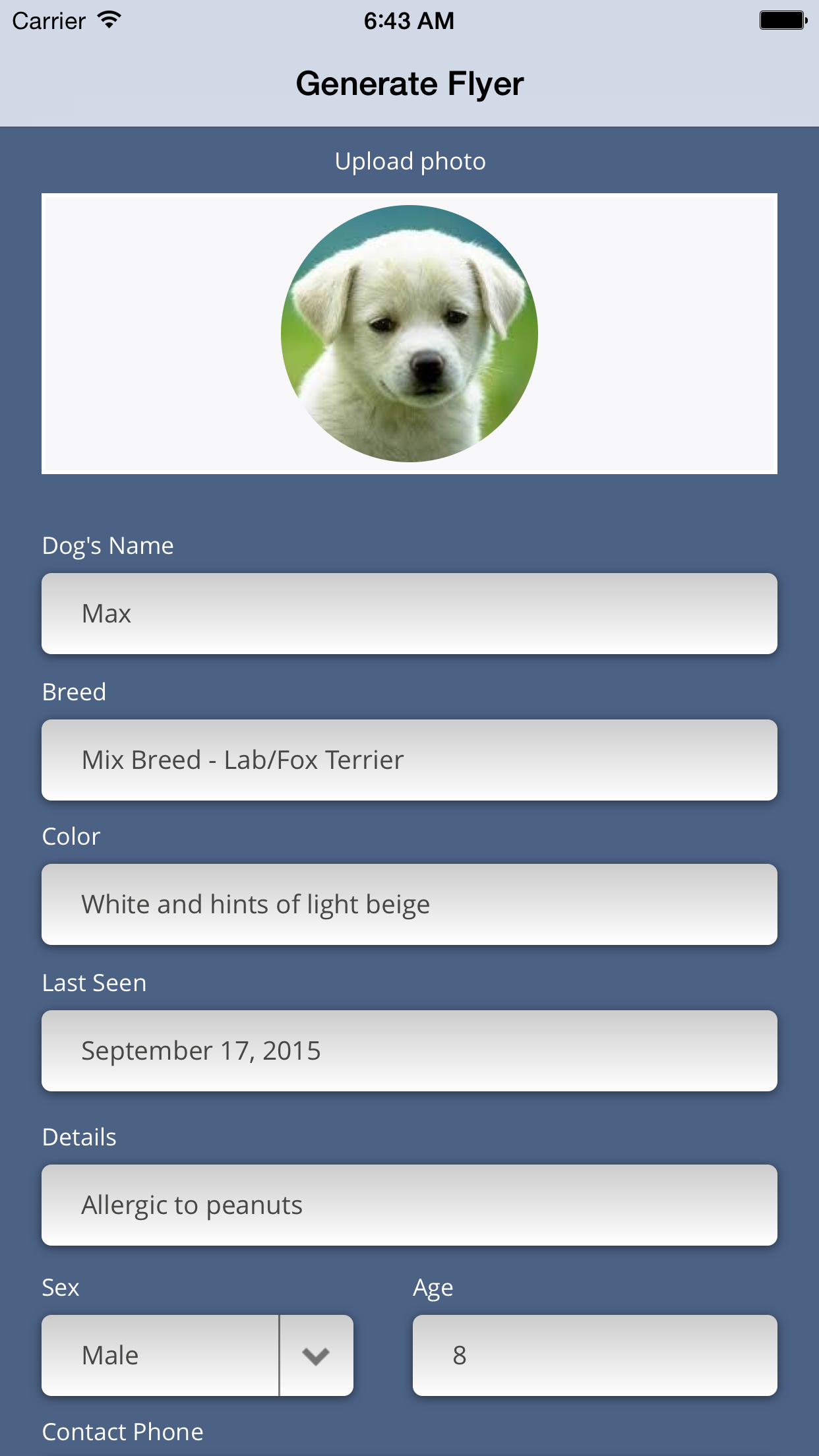 Lost Pet Flyer screenshot 2