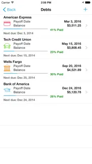 debt strategy iphone screenshot 2