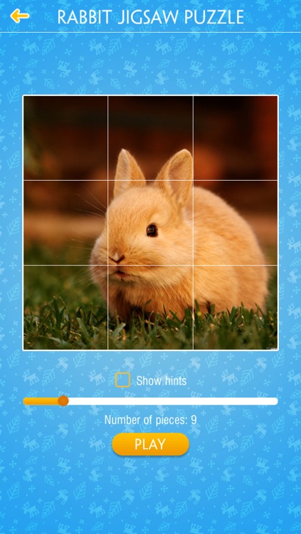 Rabbit Jigsaw Puzzles