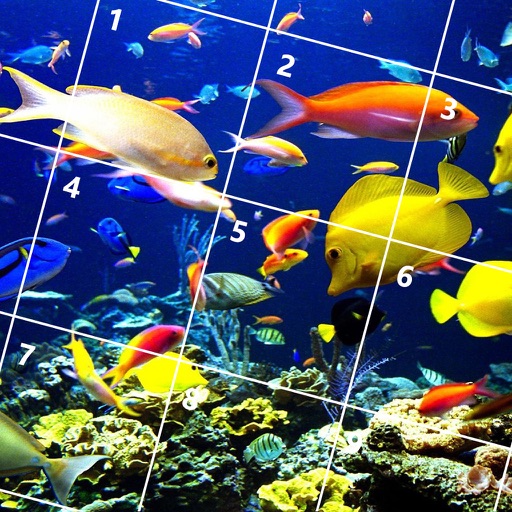 Fish Jigsaw Puzzles iOS App