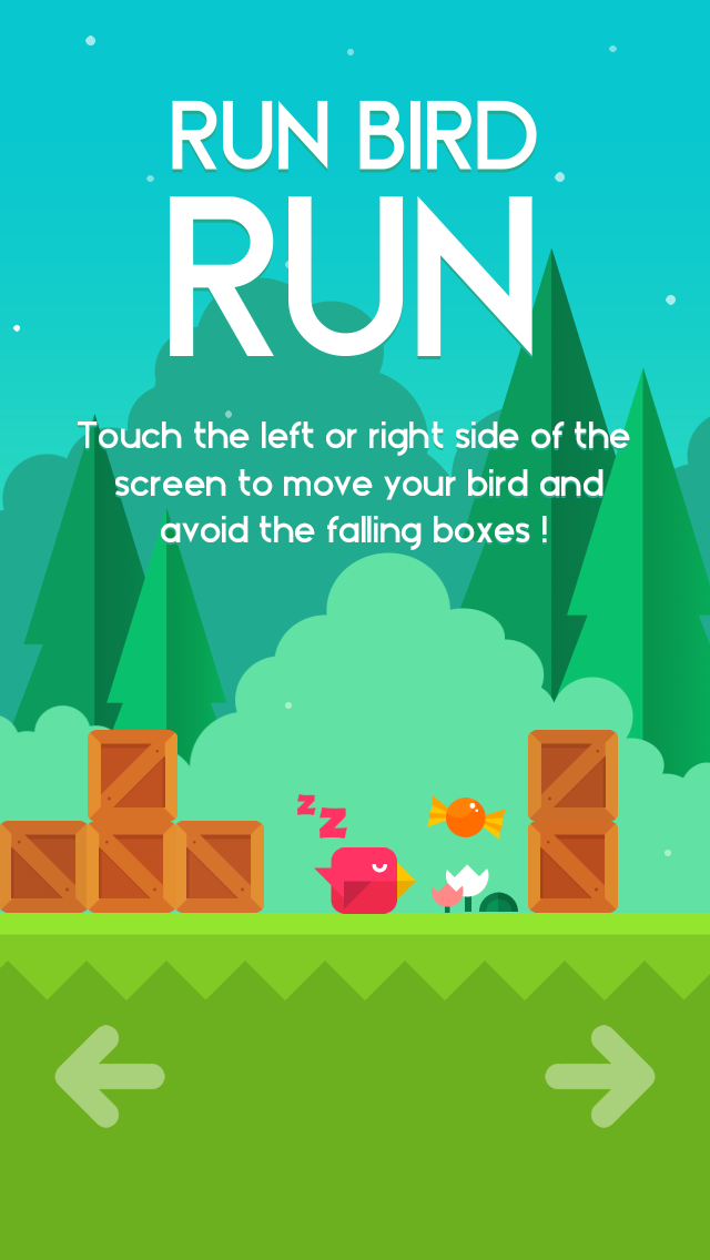 Run Bird Run screenshot 2