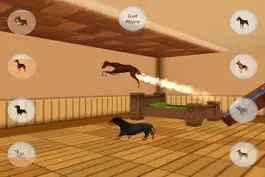 Game screenshot Dog Dog Mess hack