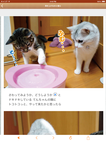 日刊ねこ新聞 - 猫ブログ＆ネコ動画アプリのおすすめ画像2