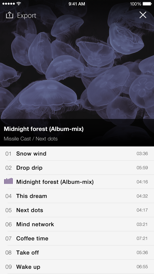 #5. PSOFT Audio Player (iOS) 由: PSOFT