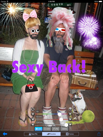 Wig it! iPad screenshot