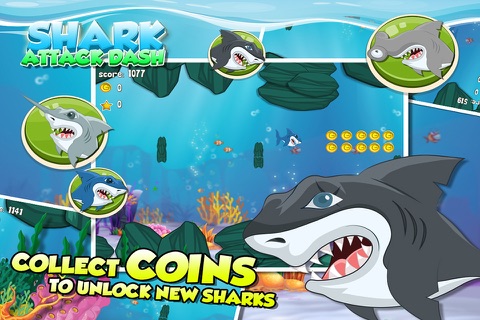 Shark Attack Dash - Swim the Ocean and Eat Fish: FREE Arcade Game screenshot 3