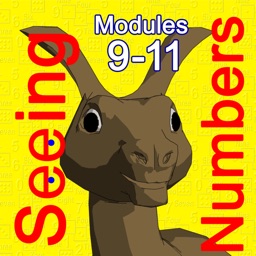 Seeing Numbers, Set 3