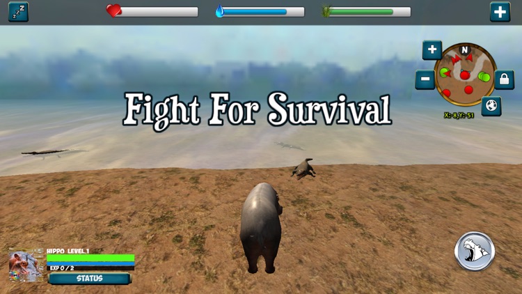 My Hippo Simulator