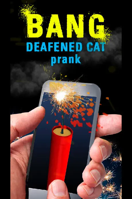 Bang Deafened Cat Prank