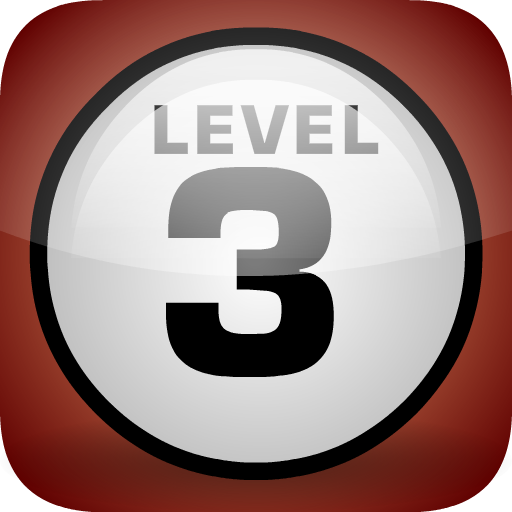 Level 3