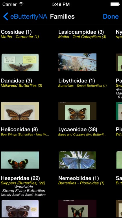 Butterflies & Moths of North America
