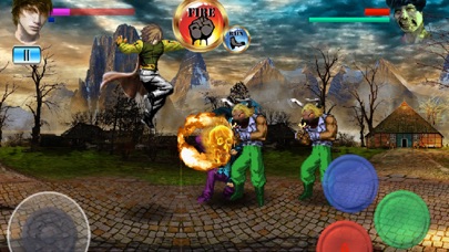 Final Fight Fantasy iPhone screenshot