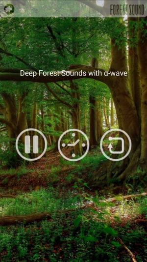 FOREST SOUND - Sound Therapy(圖3)-速報App