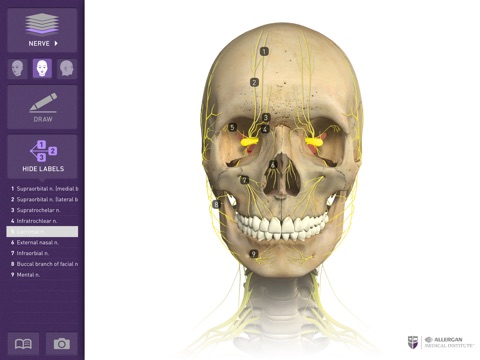 Interactive Anatomy - KW screenshot 3