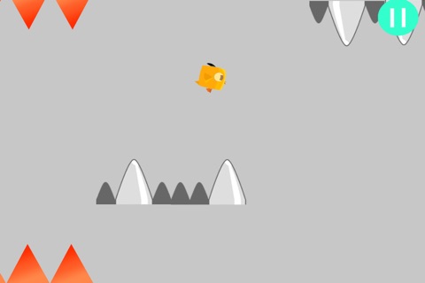 A Bird Named Spike - HD Birds and Spikes screenshot 4