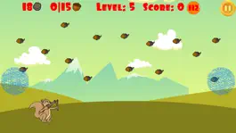 Game screenshot Squirrel - The Nut Hunter apk