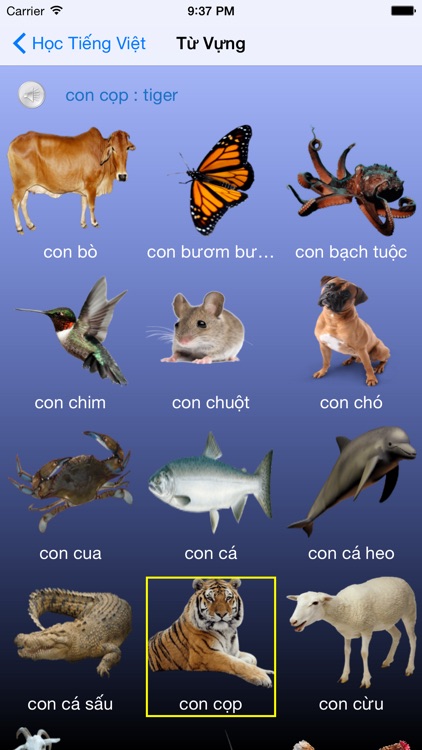 Learn Vietnamese Free