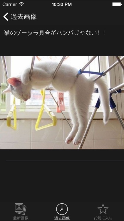 LOL Images - funny & rare photo screenshot-4