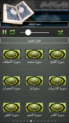 Game screenshot القران الكريم | علي الحذيفي mod apk