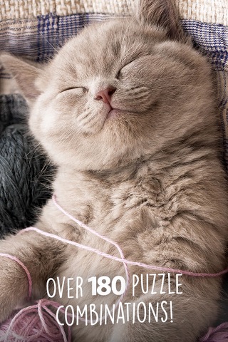 キッズ無料のためのジグソーパズルワンダー子猫のパズルのおすすめ画像2