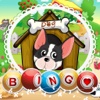 The Dog Bingo Boom - Win Big The Dog Bingo Blitz Bonus!