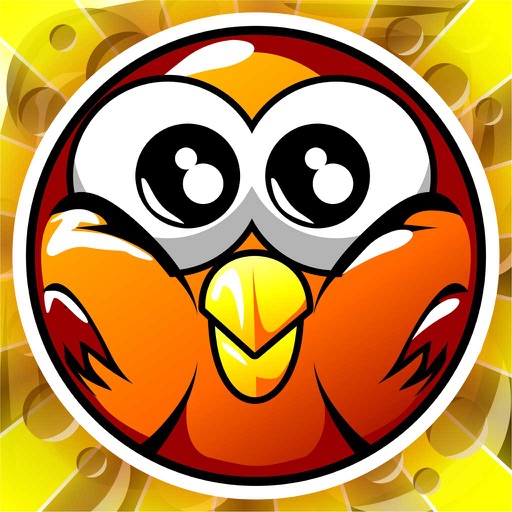 Chicken Bump : The Pro Version iOS App