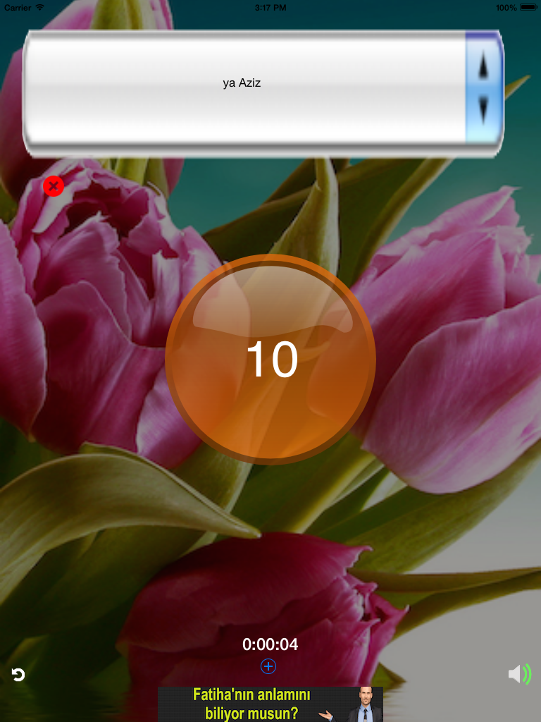 Üç Aylar screenshot 9