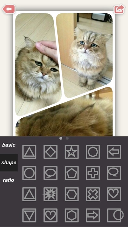 Lens Collage Pro : Clone Photo Video Editor - Fun Movie Maker for Facebook, Instagram